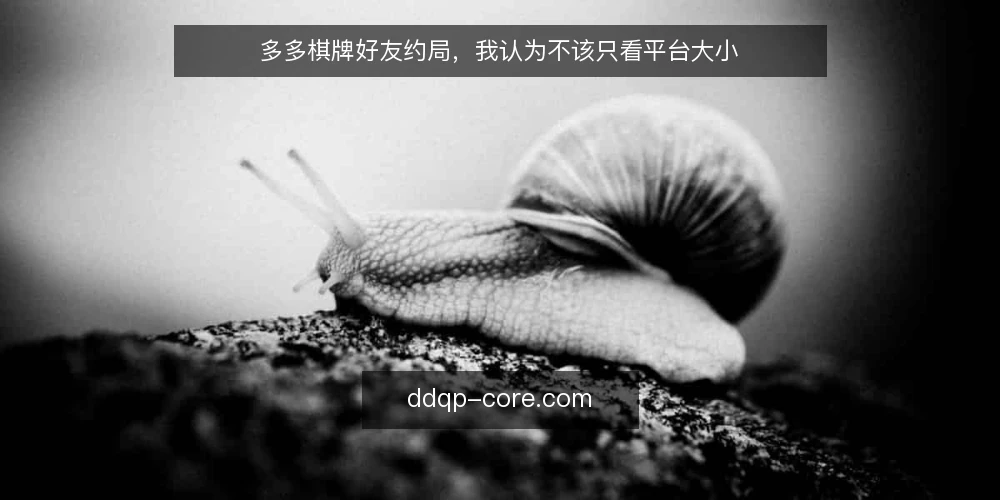 多多棋牌好友约局，我认为不该只看平台大小 — 场景设定：一个普通玩家的约局需求 配图